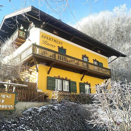 Appartement Harrer Zell am See Exteriér fotografie